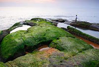 Kerala Beaches